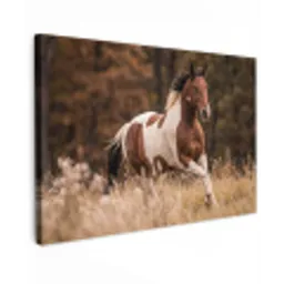 Paard - Bruin - Gras canvas 2cm klein -z3d