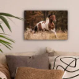 Paard - Bruin - Gras canvas 2cm klein -sfeer1