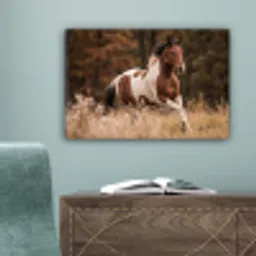 Paard - Bruin - Gras canvas 2cm klein -sfeer4