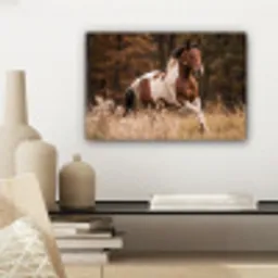 Paard - Bruin - Gras canvas 2cm klein -sfeer6