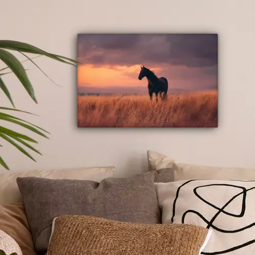 Paard - Wolken - Open veld canvas 2cm klein -sfeer1