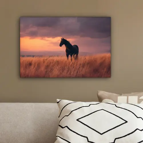 Paard - Wolken - Open veld canvas 2cm klein -sfeer3