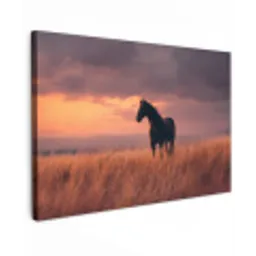 Paard - Wolken - Open veld canvas 2cm klein -z3d