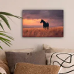 Paard - Wolken - Open veld canvas 2cm klein -sfeer1