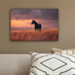Paard - Wolken - Open veld canvas 2cm klein -sfeer3