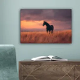 Paard - Wolken - Open veld canvas 2cm klein -sfeer4