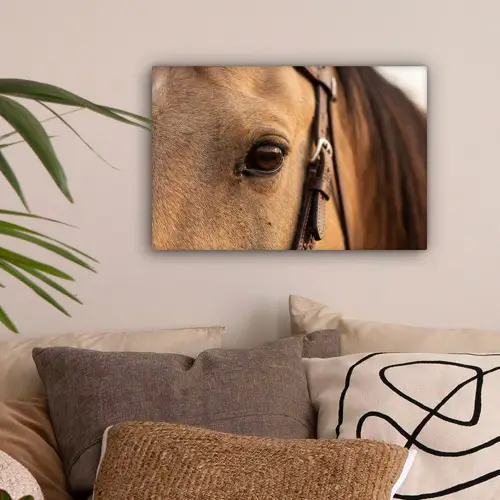 Paard - Oog - Bruin canvas 2cm klein -sfeer1