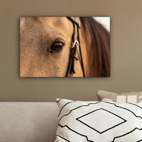 Paard - Oog - Bruin canvas 2cm klein -sfeer3