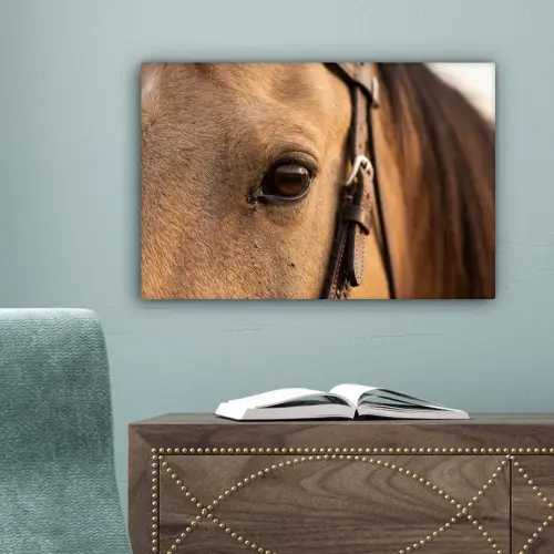 Paard - Oog - Bruin canvas 2cm klein -sfeer4