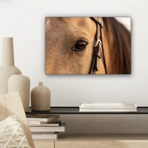 Paard - Oog - Bruin canvas 2cm klein -sfeer6