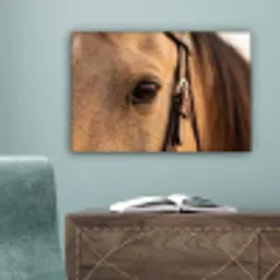 Paard - Oog - Bruin canvas 2cm klein -sfeer4