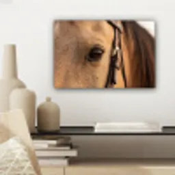 Paard - Oog - Bruin canvas 2cm klein -sfeer6