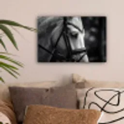 Paard - Schimmel - Portret canvas 2cm klein -sfeer1
