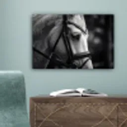 Paard - Schimmel - Portret canvas 2cm klein -sfeer4