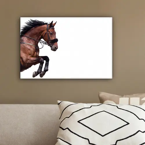 Paard - Springen - Modern canvas 2cm klein -sfeer3