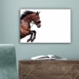 Paard - Springen - Modern canvas 2cm klein -sfeer4