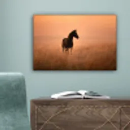 Paard - Grasveld - Zonsondergang canvas 2cm klein -sfeer4