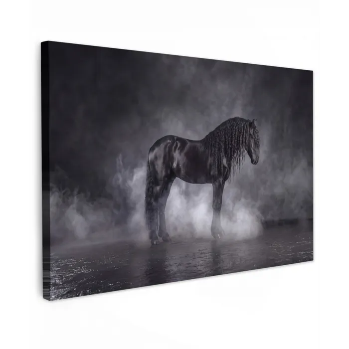 Paard - Magisch - Zwart canvas 2cm klein -z3d