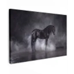 Paard - Magisch - Zwart canvas 2cm klein -z3d