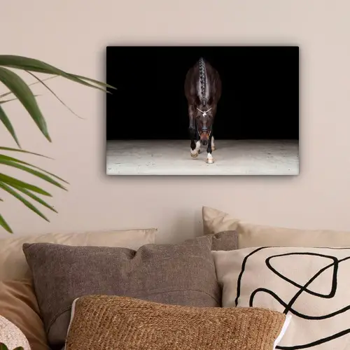 Paard - Modern - Portret canvas 2cm klein -sfeer1