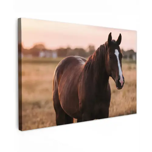Paard - Zonsondergang - Bruin canvas 2cm klein -z3d