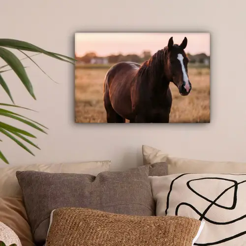 Paard - Zonsondergang - Bruin canvas 2cm klein -sfeer1