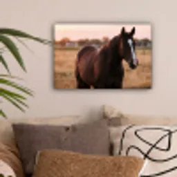 Paard - Zonsondergang - Bruin canvas 2cm klein -sfeer1