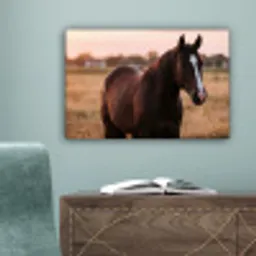 Paard - Zonsondergang - Bruin canvas 2cm klein -sfeer4