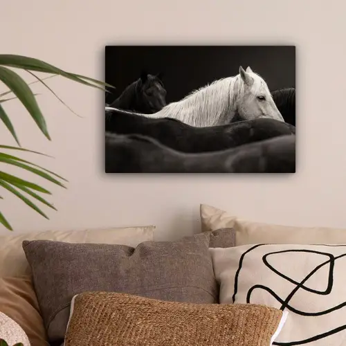 Paarden - Zwart - Wit - Kudde canvas 2cm klein -sfeer1