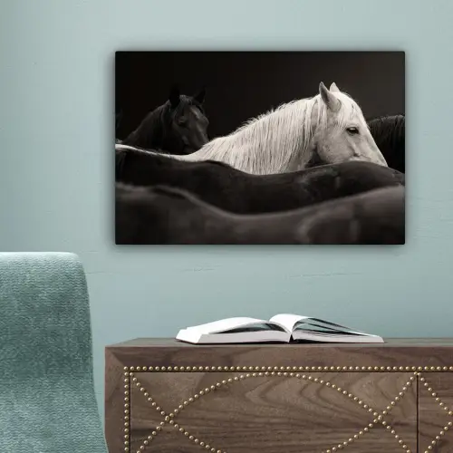 Paarden - Zwart - Wit - Kudde canvas 2cm klein -sfeer4