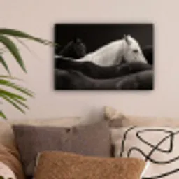 Paarden - Zwart - Wit - Kudde canvas 2cm klein -sfeer1