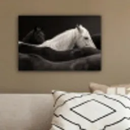 Paarden - Zwart - Wit - Kudde canvas 2cm klein -sfeer3