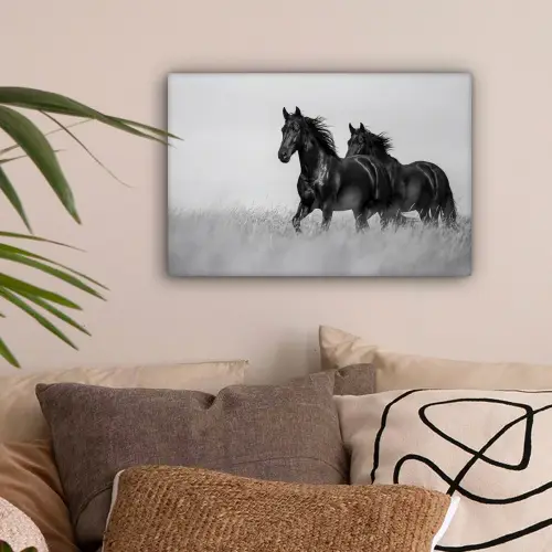 Paarden - Gras - Zwart - Wit canvas 2cm klein -sfeer1