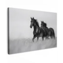 Paarden - Gras - Zwart - Wit canvas 2cm klein -z3d