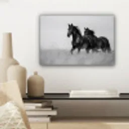 Paarden - Gras - Zwart - Wit canvas 2cm klein -sfeer6