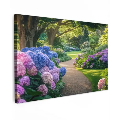 Hortensia- Park - Pad canvas 2cm klein -z3d