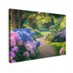 Hortensia- Park - Pad canvas 2cm klein -z3d