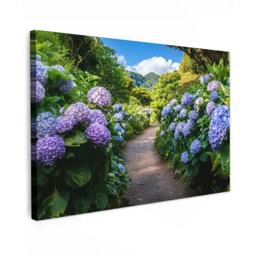 Hortsensia - Pad - Bloemen canvas 2cm klein -z3d