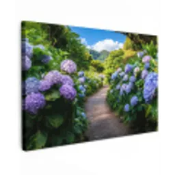 Hortsensia - Pad - Bloemen canvas 2cm klein -z3d