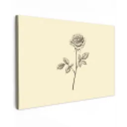 Illustratie - Zwart - Roos canvas 2cm klein -z3d