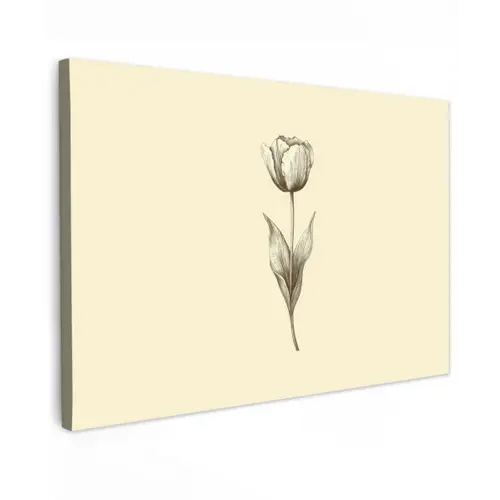 Illustratie - Tulp - Zwart canvas 2cm klein -z3d