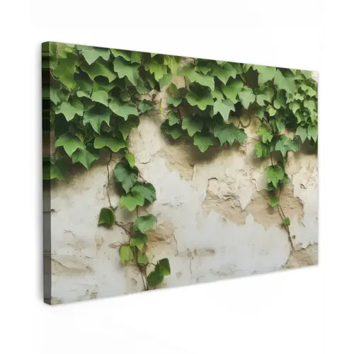 Klimop - Muur - Groen canvas 2cm klein -z3d