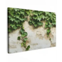 Klimop - Muur - Groen canvas 2cm klein -z3d