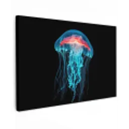 Kwal - Tentakels - Blauw - Licht canvas 2cm klein -z3d