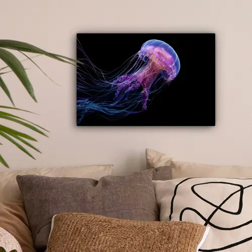 Kwal - Doorzichtig - Roze - Tentakels canvas 2cm klein -sfeer1