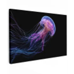 Kwal - Doorzichtig - Roze - Tentakels canvas 2cm klein -z3d