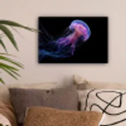 Kwal - Doorzichtig - Roze - Tentakels canvas 2cm klein -sfeer1