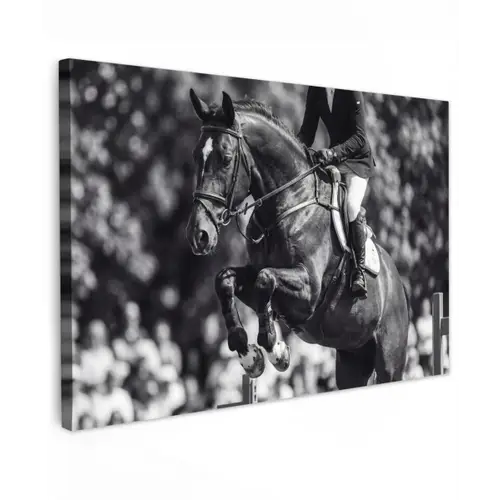 Springen - Paard - Zwart - Wit canvas 2cm klein -z3d