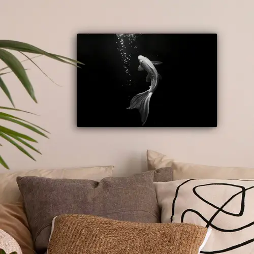 Koi - Vis - Wit - Zwart canvas 2cm klein -sfeer1