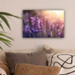 Lavendelbloemen - Paars - Zonlicht canvas 2cm klein -sfeer1